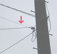 ����Ȃ�...���ǂ�